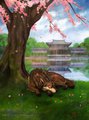 Meditation by DestinyWolf
