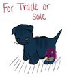 Scottish Fold Kitten for Sale or Trade (TRADED OFF)