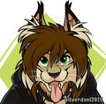 Ryan the Lynx
