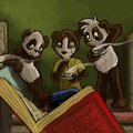 the origin of panda bear