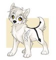 Puppy Des by DestinyWolf
