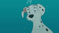 Perdita uw (101 dalmatians)