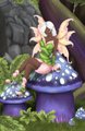 Rasheera