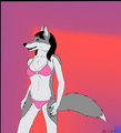 Alex wolf 4