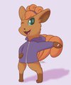 Ami Hoodie