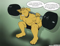 Squats