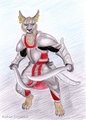 Khajiit Warrior