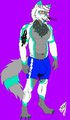 Sliver Nightwulf