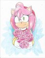 Amy gift