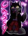 Cassy cat Rainfurrest 2015 badge