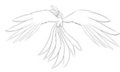 Phoenix WIP tattoo design