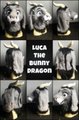 Luca the Bunny Dragon by ratcoffee