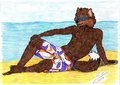 BeachBoy by Kveldulfir