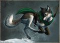 Ranger Koda 