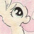 Pretty Flittery Critters