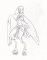 Harpy Femboy Commission  by kekkres