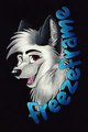 FREEZEFRAME Badge by BlueFoxalope