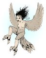 Harpy