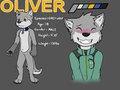 Oli's Ref Sheet! by Asurium