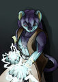Luxio morph by Benouttait