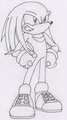 Knuckles 15 años