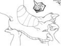 Dragon Feets