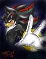 Shadow... by Mimy92Sonadow