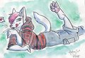 Dingo Paws by Domino