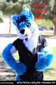 Max Haru Fox FurSuit Friday