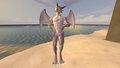 Dragybeach