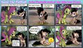MLP Fluttershy teaches