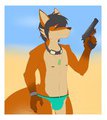 Kuiper by Kuiper