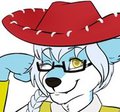 Howdy Partner