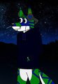 walking in the night 