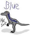 Blue the Raptor