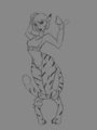 Katt