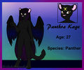 Kage Ref by MilkshakeJunkie