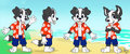 Roni ref sheet