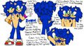SiTM: Sonic the Hedgehog Ref Sheet
