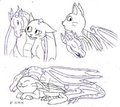 The Neverending Doodles - Fluffs