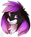Xyo Bunneh