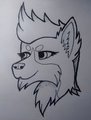 Quadri Headshot