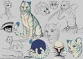 Marvol Sketch Page