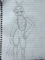 Sketches of Chica and Toy Chica