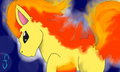 #77 Ponyta