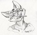 Ceowolf - By Kappy