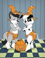 Pumpkin diapers