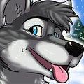 My gray Fursona by WolfyFurry