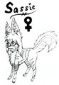 My fursona! by SassieCassie