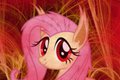 Flutterbat wallpaper by BraveGunner